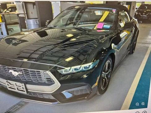 Used 2024 Ford Mustang Premium image 2