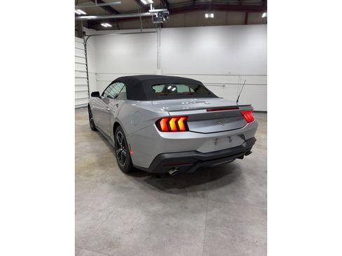 Used 2024 Ford Mustang Premium image 4