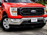 Used 2021 Ford F150 XL w/ Equipment Group 101A High image 3