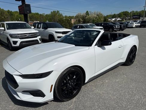 Used 2026 Ford Mustang Convertible w/ Mustang Nite Pony Package image 9