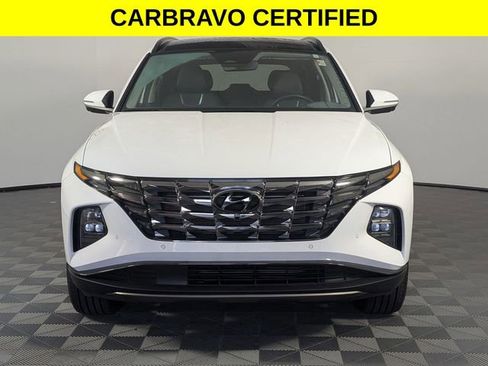 Used 2023 Hyundai Tucson Limited AWD/4WD image 3