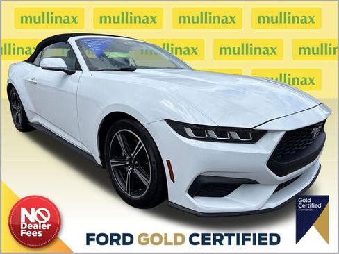 Used 2024 Ford Mustang Premium image 1