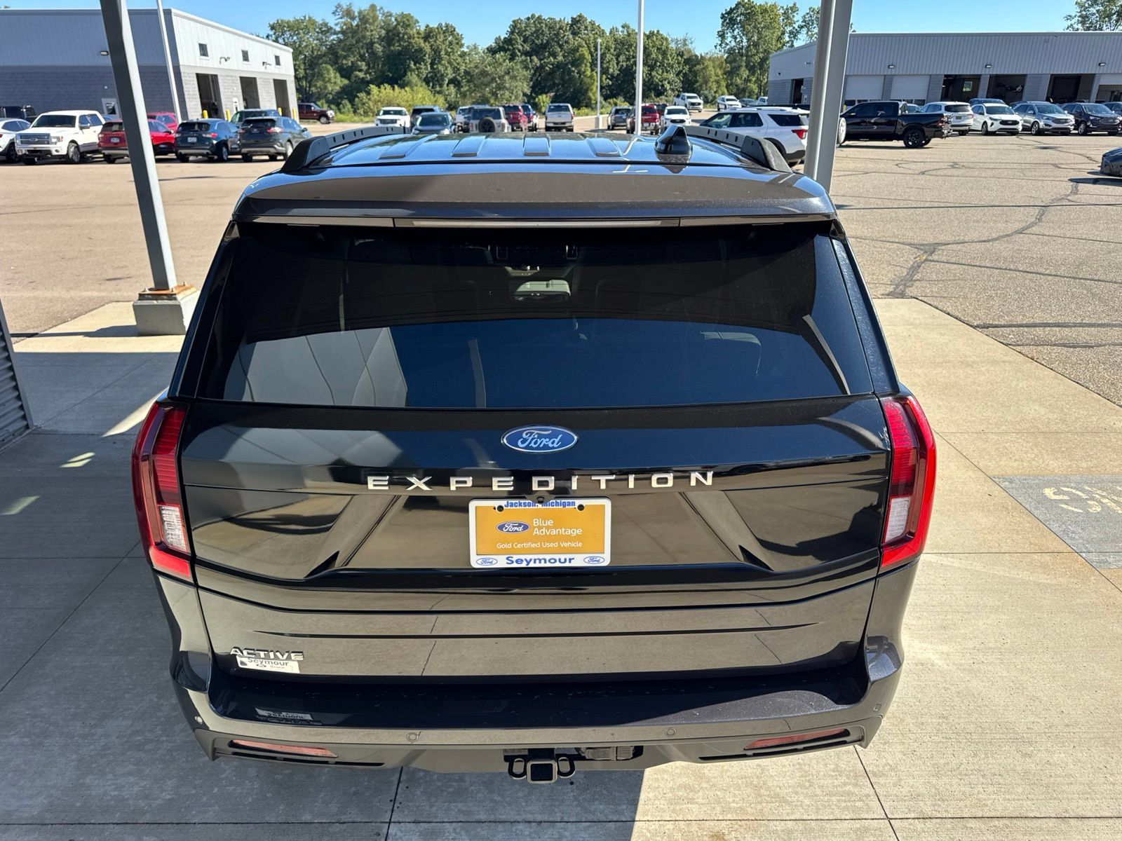 Used 2025 Ford Expedition Active AWD/4WD image 7