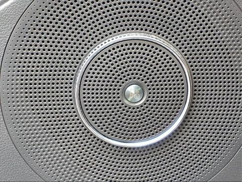 Used 2024 Ford Expedition Max Platinum image 19