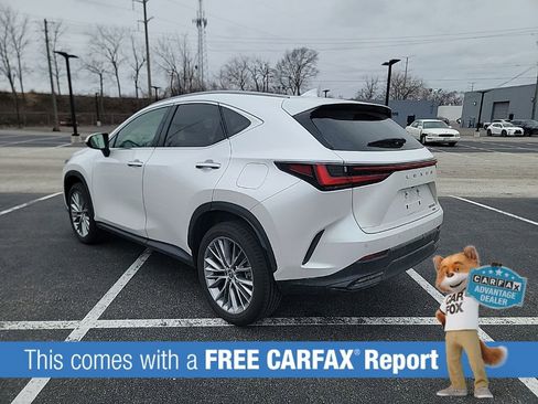 Used 2025 Lexus NX 350 AWD w/ Cold Area Package image 3