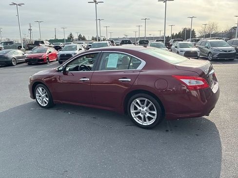 Used 2010 Nissan Maxima 3.5 SV w/ Cold Pkg image 13