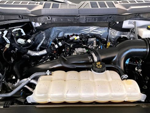 Used 2024 Ford F150 STX w/ STX Black Appearance Package image 9