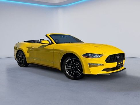 Used 2018 Ford Mustang Premium w/ Equipment Group 201A image 2