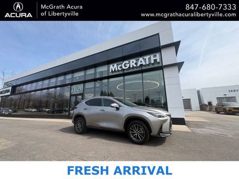 Used 2023 Lexus NX 350 AWD w/ Cold Area Package image 1