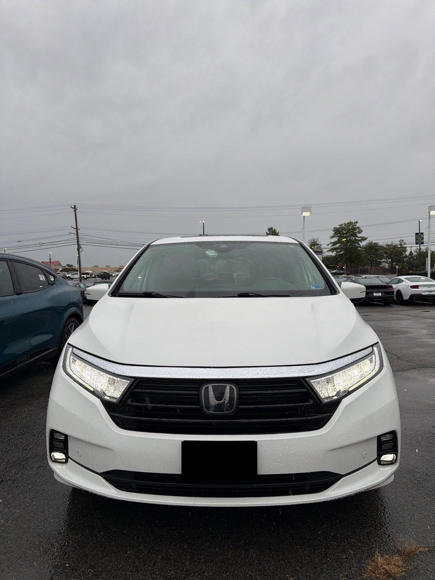 Used 2023 Honda Odyssey Elite image 2