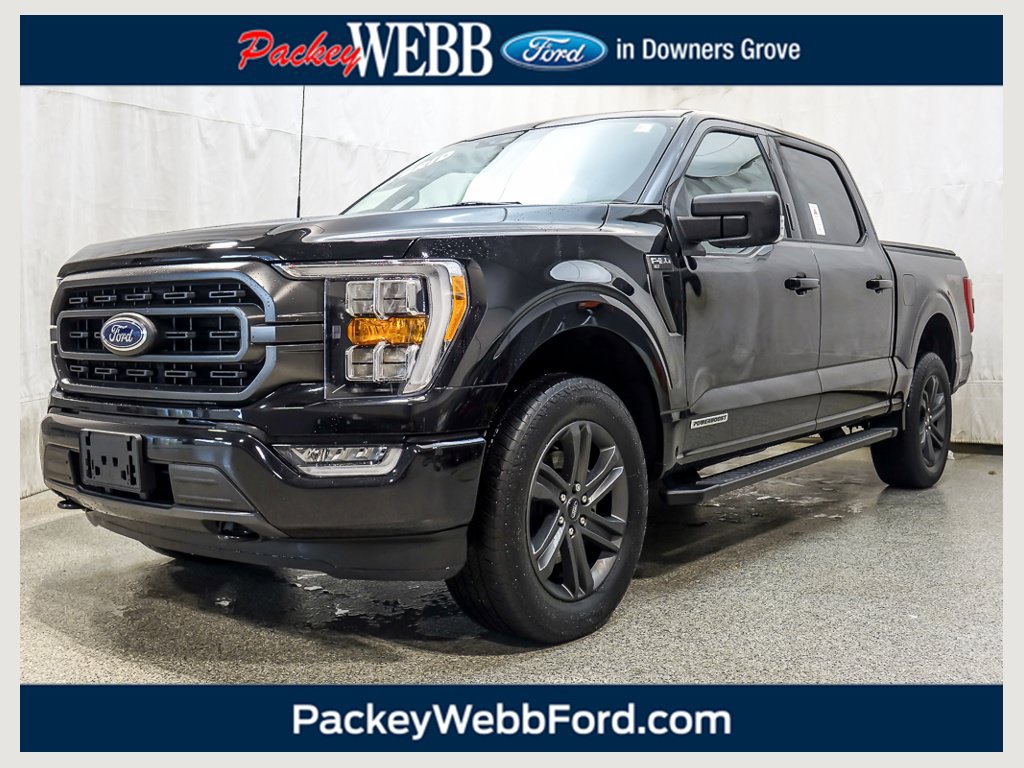 Used 2023 Ford F150 XLT w/ Equipment Group 302A High AWD/4WD image 1
