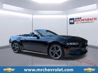Used 2024 Ford Mustang Premium RWD video 1