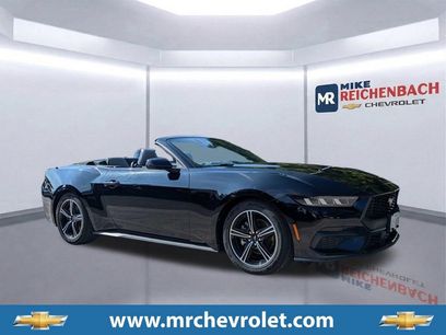 Used 2024 Ford Mustang Premium