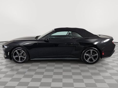 Used 2025 Ford Mustang Premium RWD image 5