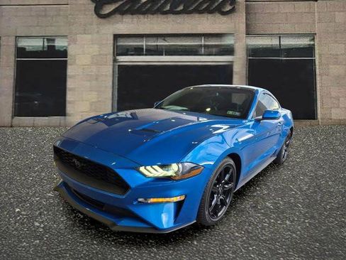 Used 2019 Ford Mustang Premium w/ Equipment Group 201A image 1