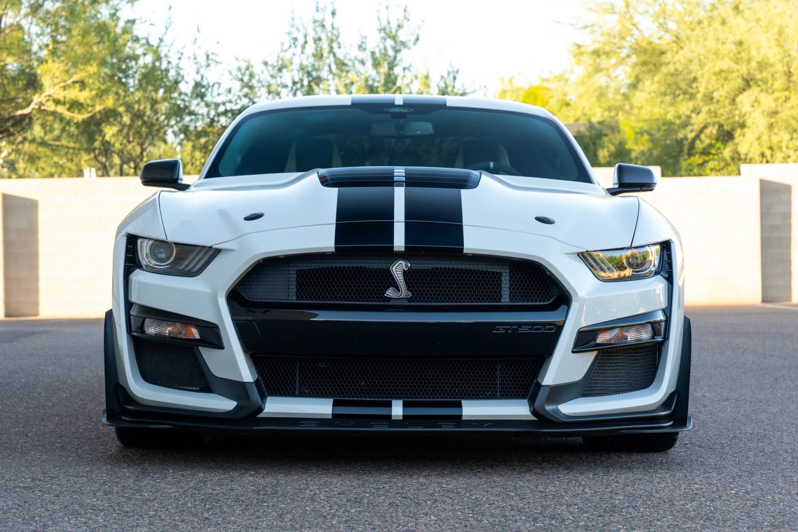 Used 2021 Ford Mustang Shelby GT500 RWD image 21