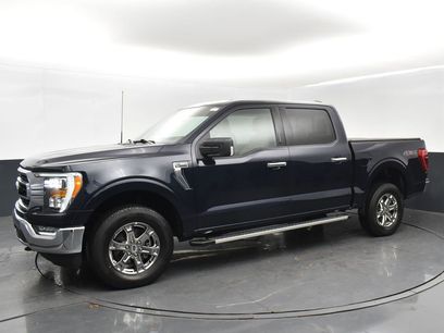 Used 2023 Ford F150 XLT w/ Equipment Group 302A High