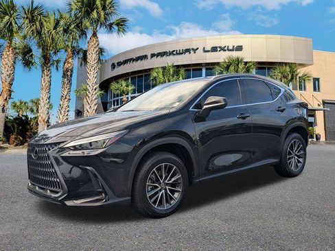 Certified 2025 Lexus NX 350h AWD w/ Cold Area Package image 11