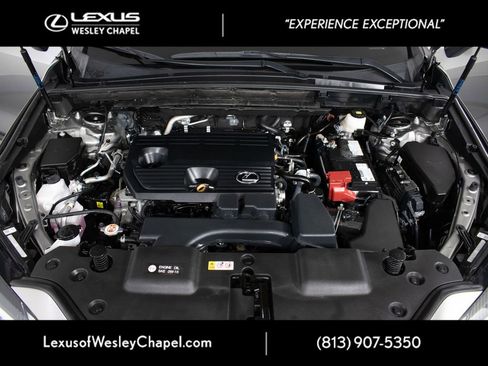 Used 2024 Lexus NX 250 FWD w/ Cold Area Package image 15