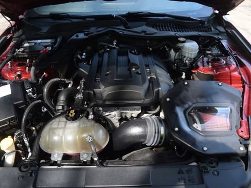 Used 2019 Ford Mustang Premium w/ Equipment Group 201A RWD image 24