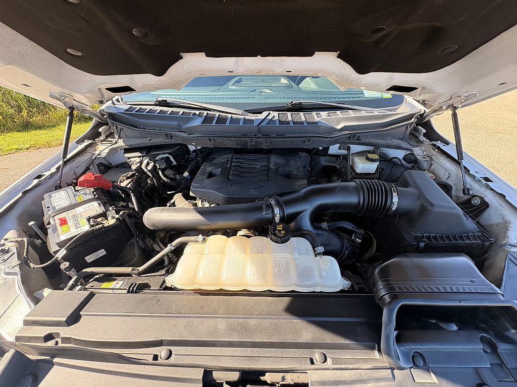 Used 2021 Ford F150 XLT w/ Equipment Group 302A High AWD/4WD image 13