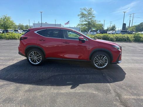 Used 2025 Lexus NX 350h AWD w/ Luxury Package image 20