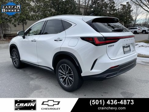 Used 2024 Lexus NX 250 FWD w/ Cold Area Package image 5