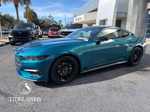 New 2026 Ford Mustang Coupe w/ Mustang Nite Pony Package image 3