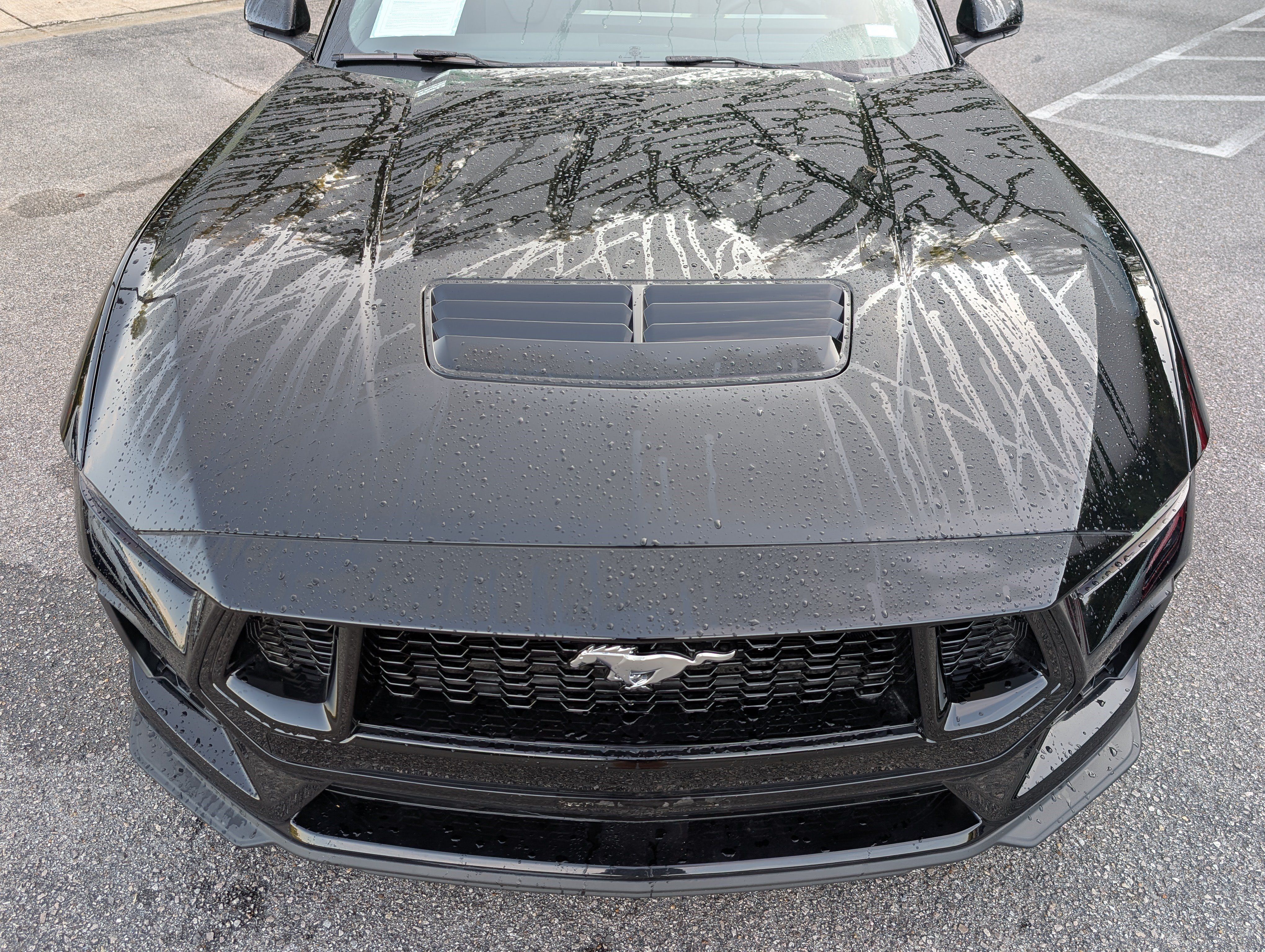 Used 2026 Ford Mustang GT Premium w/ GT Performance Package RWD image 12