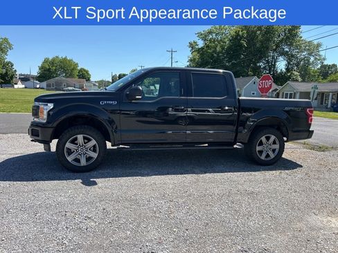 Used 2019 Ford F150 XLT w/ Equipment Group 302A Luxury AWD/4WD image 5