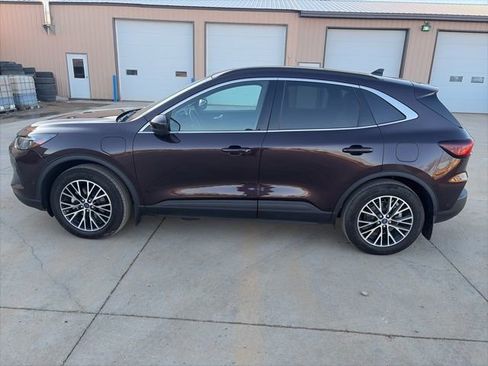 Used 2023 Ford Escape SE w/ PHEV Premium Package image 4