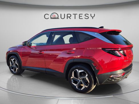 Used 2023 Hyundai Tucson Limited FWD image 3