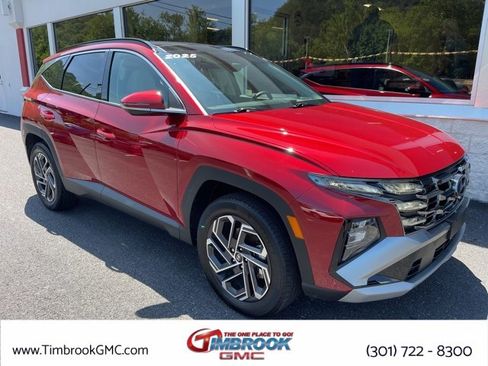 Used 2025 Hyundai Tucson Limited image 1