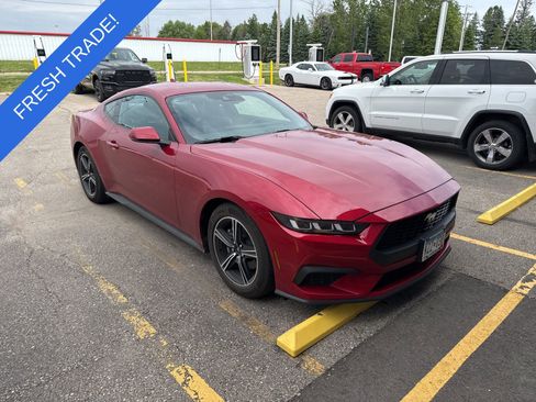 Used 2024 Ford Mustang Premium RWD image 3