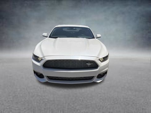 Used 2017 Ford Mustang Premium w/ Equipment Group 201A RWD image 3