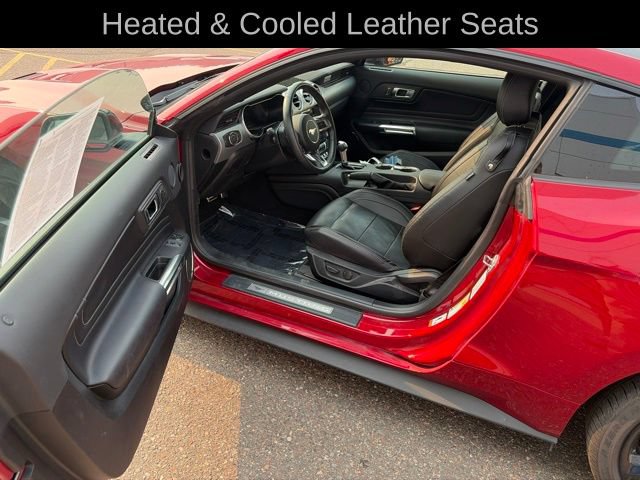 Used 2022 Ford Mustang GT Premium w/ Equipment Group 401A RWD image 13