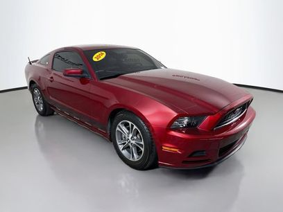 Used 2014 Ford Mustang Premium w/ Equipment Group 201A