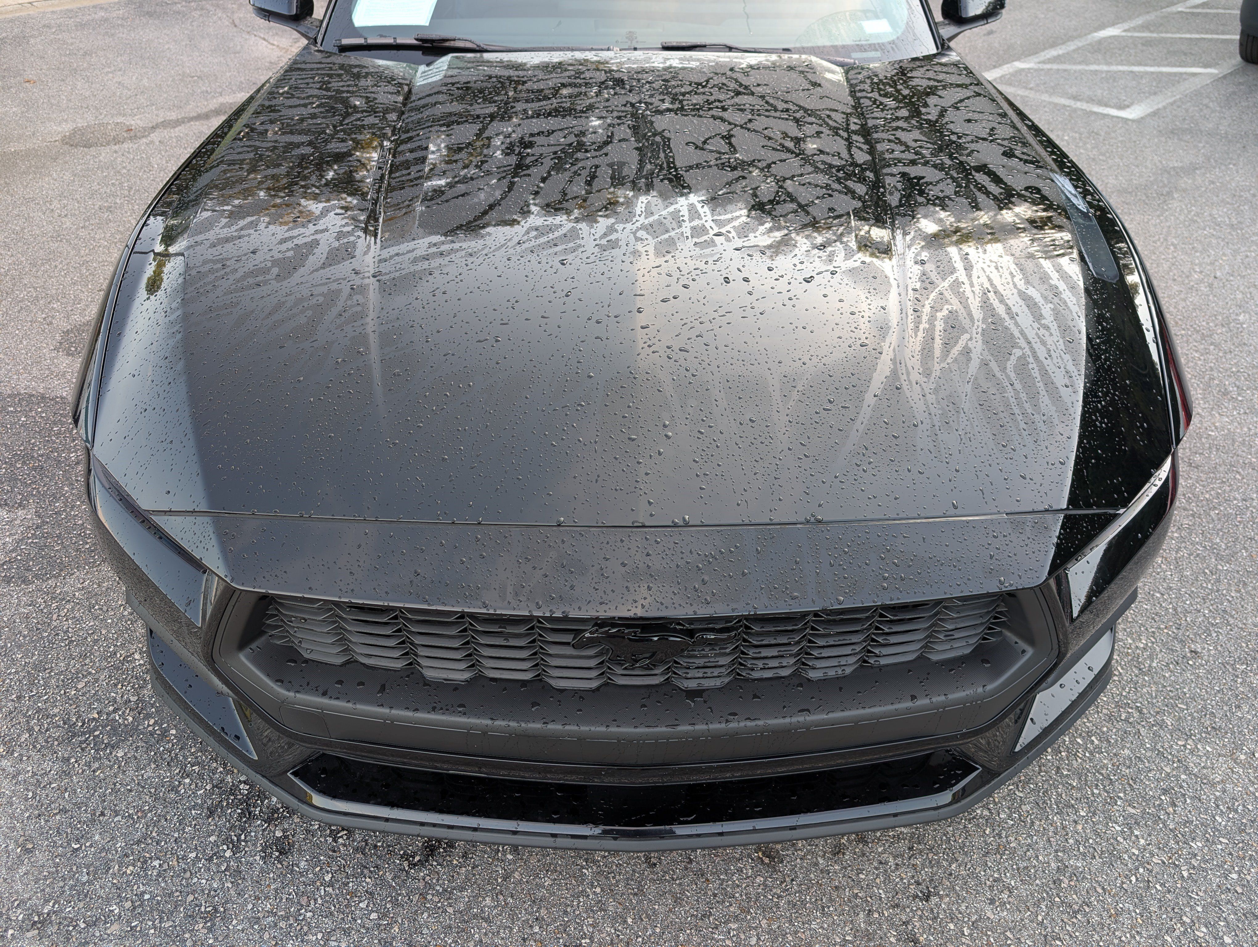 Used 2026 Ford Mustang Premium RWD image 12