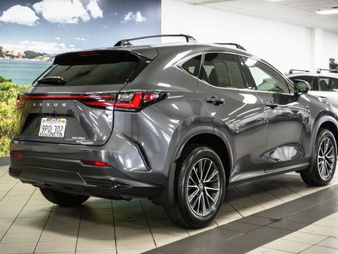 Certified 2025 Lexus NX 350 AWD w/ Premium Package image 6
