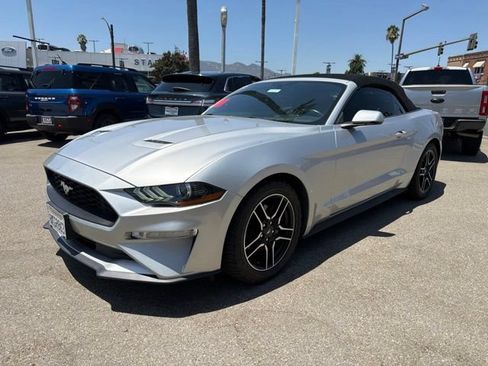 Used 2019 Ford Mustang Premium RWD image 3