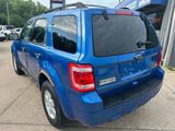 Used 2011 Ford Escape XLT w/ 202A Rapid Spec Order Code image 5