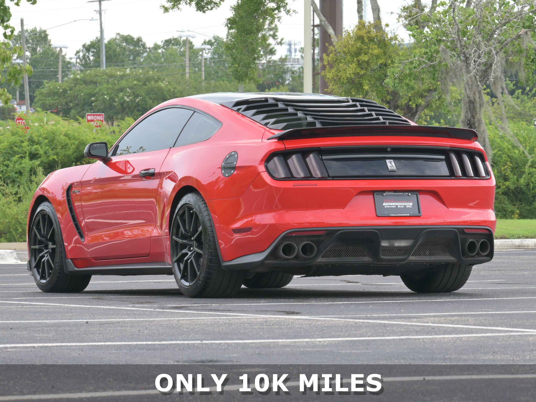 Used 2016 Ford Mustang Shelby GT350 w/ Track Package RWD image 3
