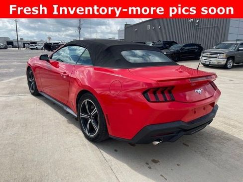 Used 2024 Ford Mustang Premium image 6