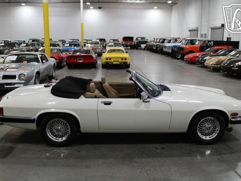 Used 1989 Jaguar XJS V12 Convertible image 8