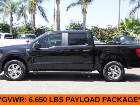 Used 2024 Ford F150 STX w/ STX Black Appearance Package AWD/4WD image 5