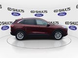 Used 2021 Ford Escape SE image 3
