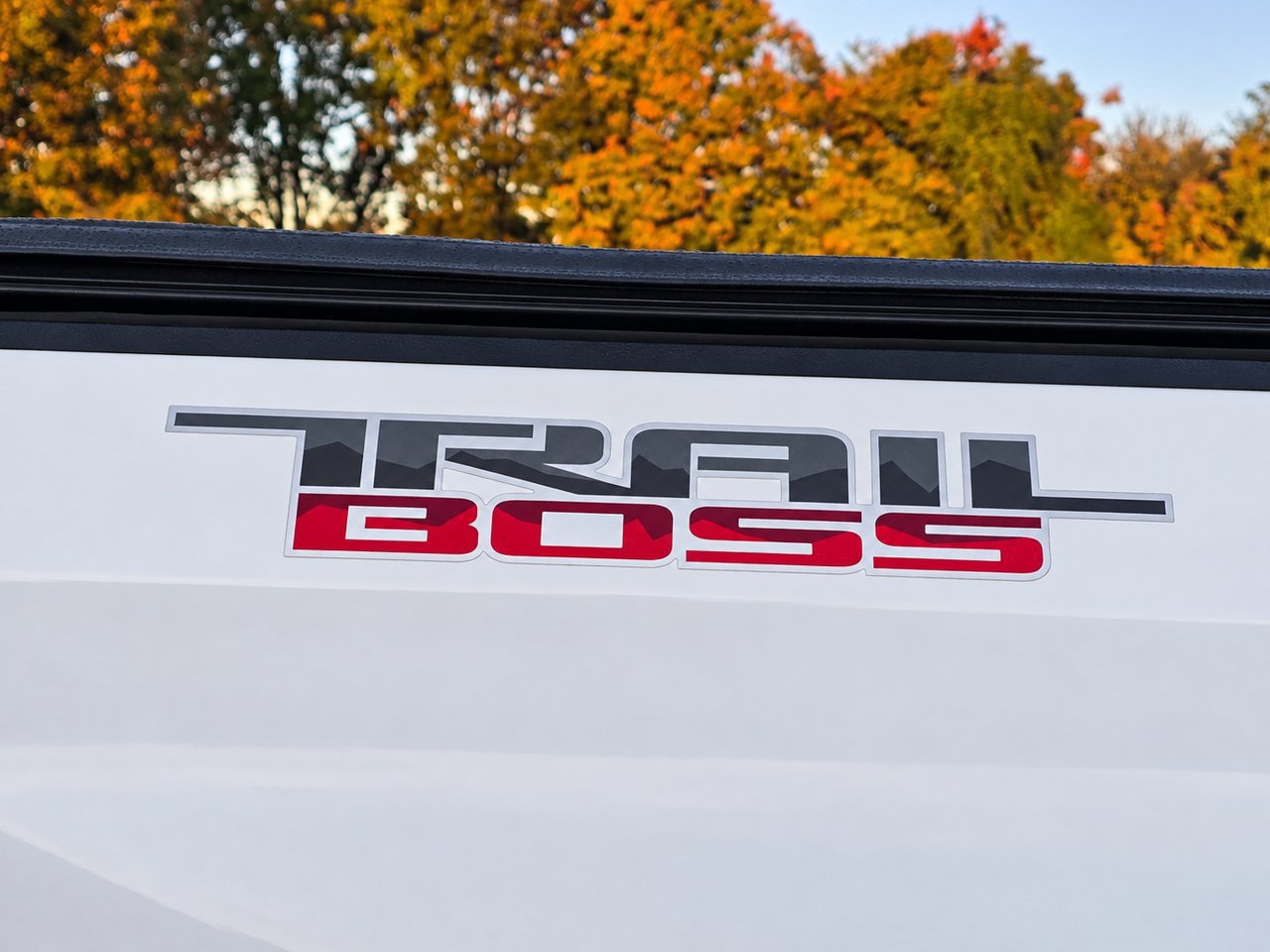 Used 2022 Chevrolet Silverado 1500 LT Trail Boss w/ Convenience Package II AWD/4WD image 9