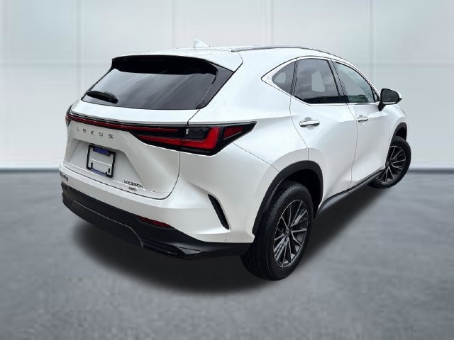 Used 2024 Lexus NX 350h AWD image 4