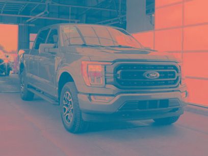 Certified 2023 Ford F150 XLT w/ Equipment Group 302A High