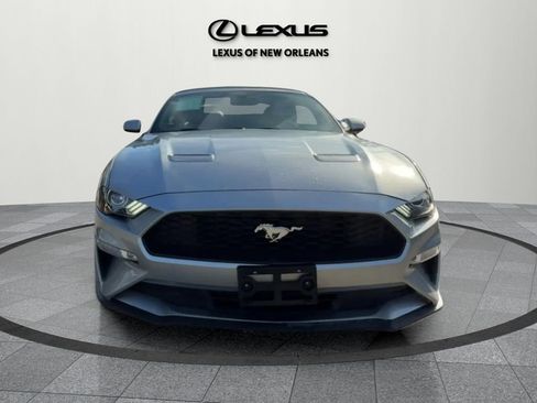 Used 2020 Ford Mustang Premium image 3